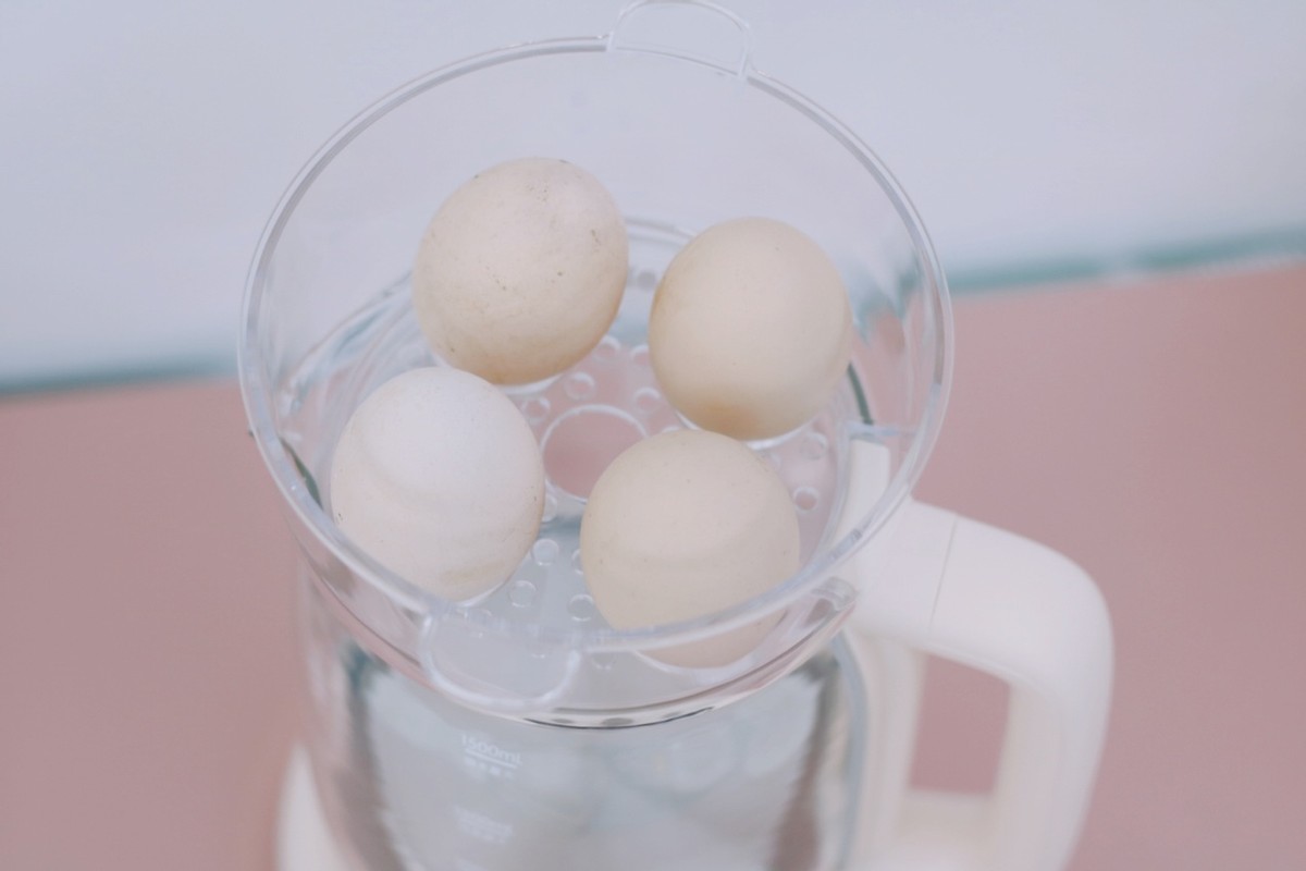 枸杞泡水养生壶推荐,枸杞泡水养生壶推荐哪种好