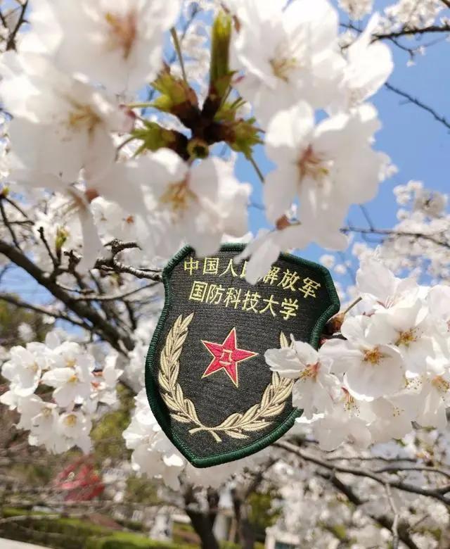 在这些城市上大学，真好