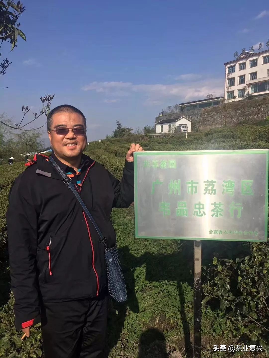 芳村茶市场,芳村茶叶市场都是金融茶吗