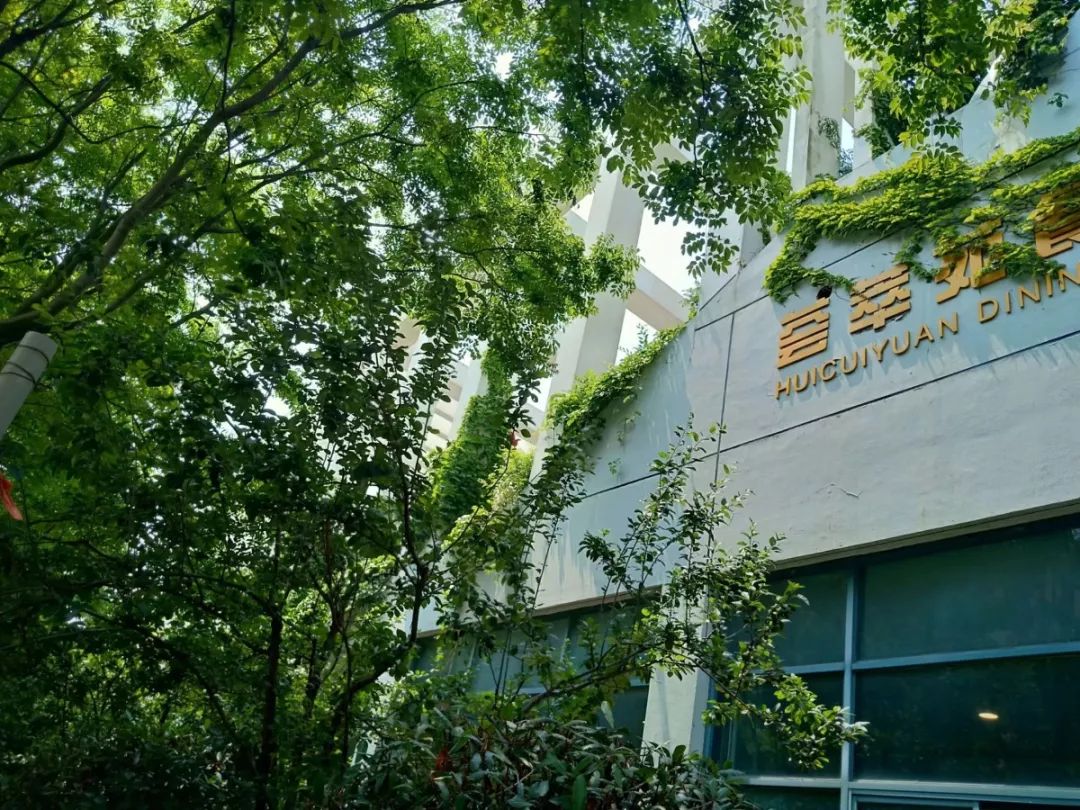 中国石油大学华东缺点,中国石油大学华东为什么考数二