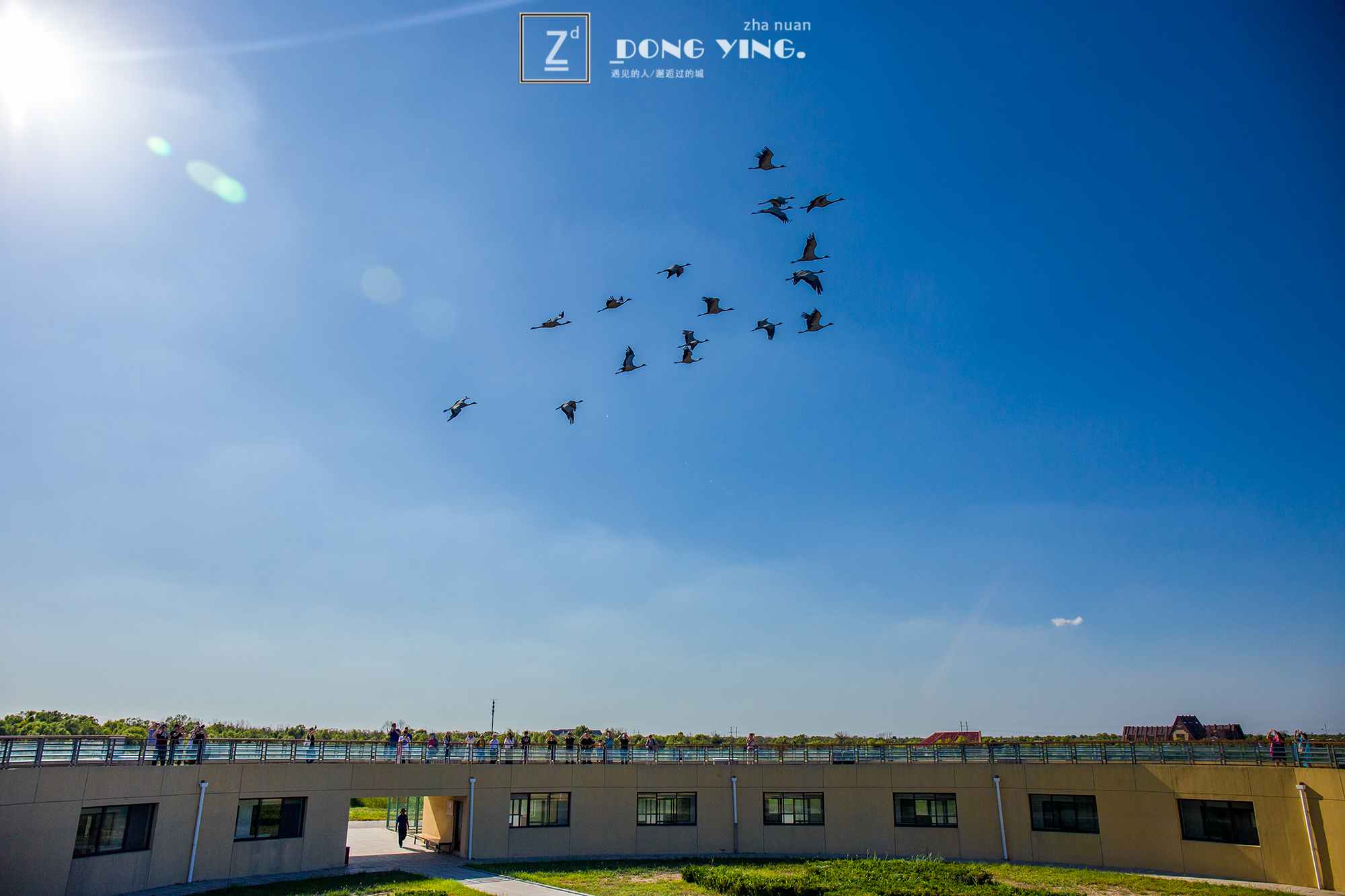 山东黄河入海城市,山东黄河去哪里看最壮观