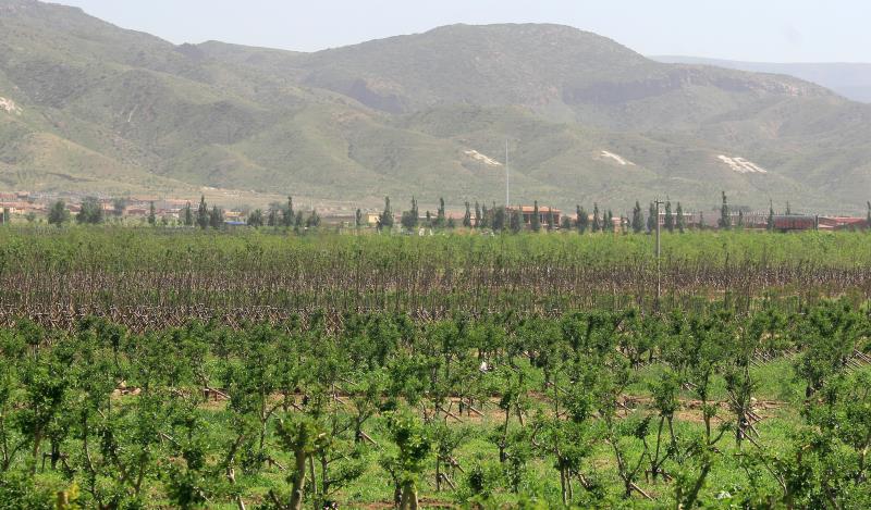 敕勒川草原魅力正在彰显,敕勒川生态草原