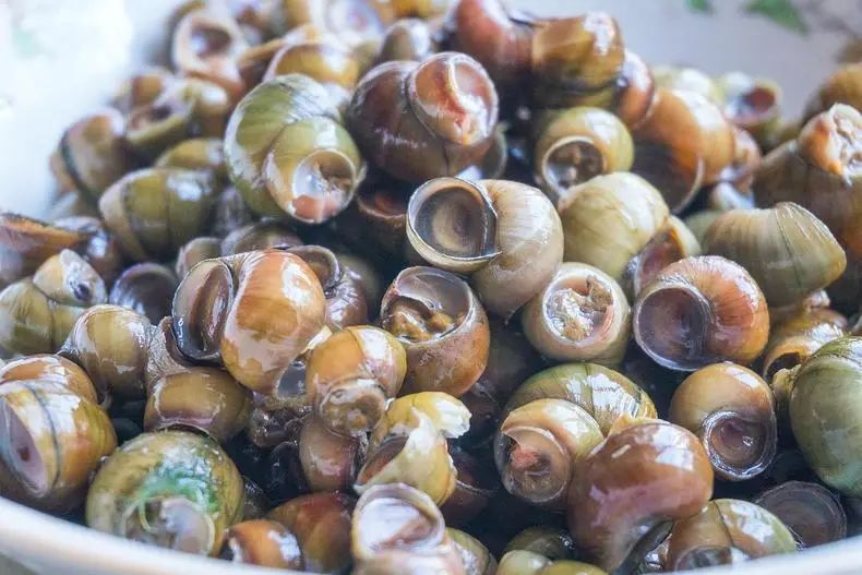 艾草糯米青团对身体好吗,清明前后吃艾草青团的功效