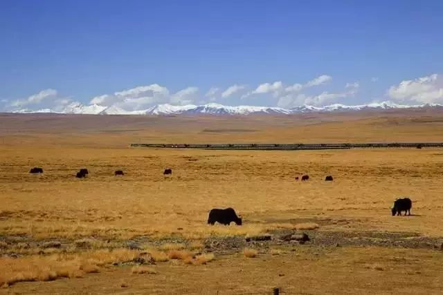 下半年旅行最佳时间表,2023最佳旅游时间表