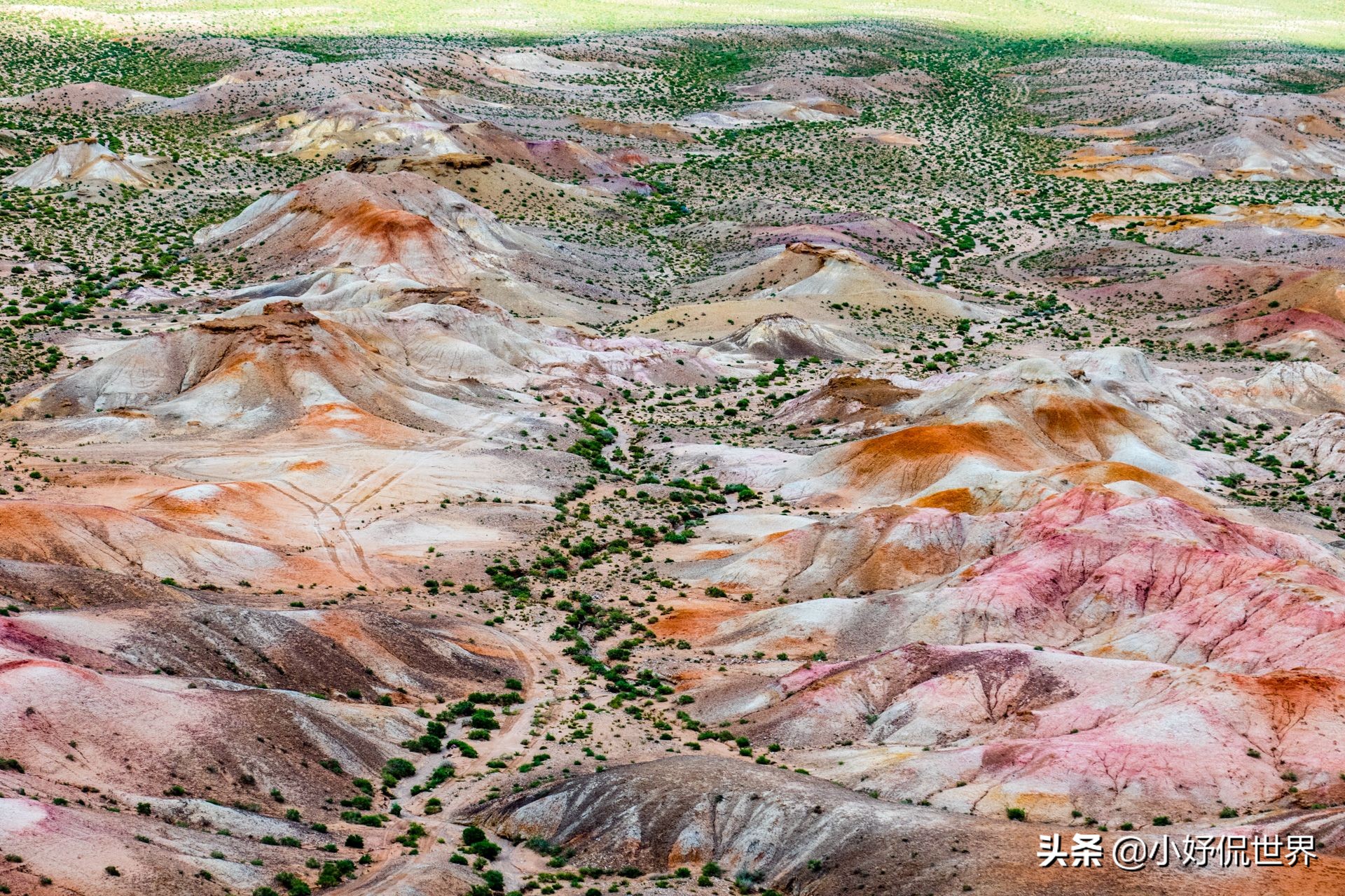 16张不可思议的照片竟然不是ps的,20张不是ps胜似ps的真实照片
