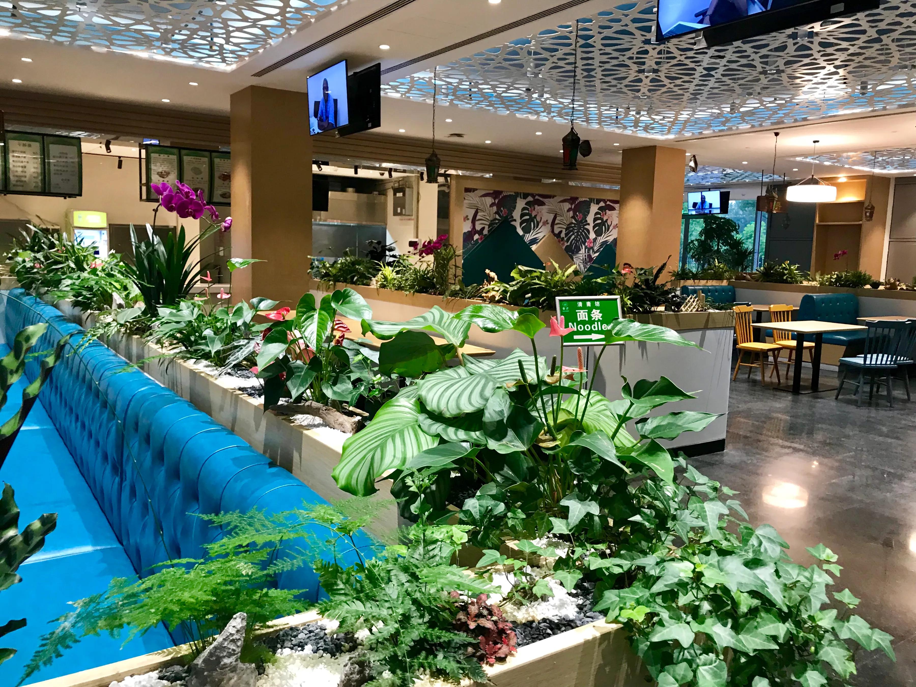 别人家的公司长啥样？参观杭州华为有感