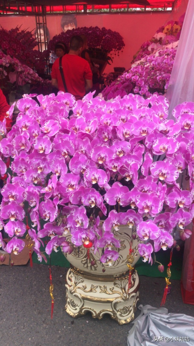 别动不动就让我买赚钱方法资料加入社群了