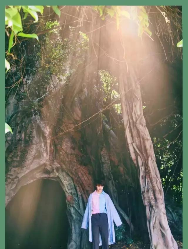 新晋网红打卡地池杉林,小红书网红打卡点