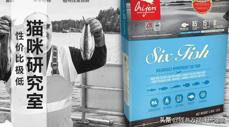 娓存湜缁勮兒瓒呮爣,娓存湜缁勮兒