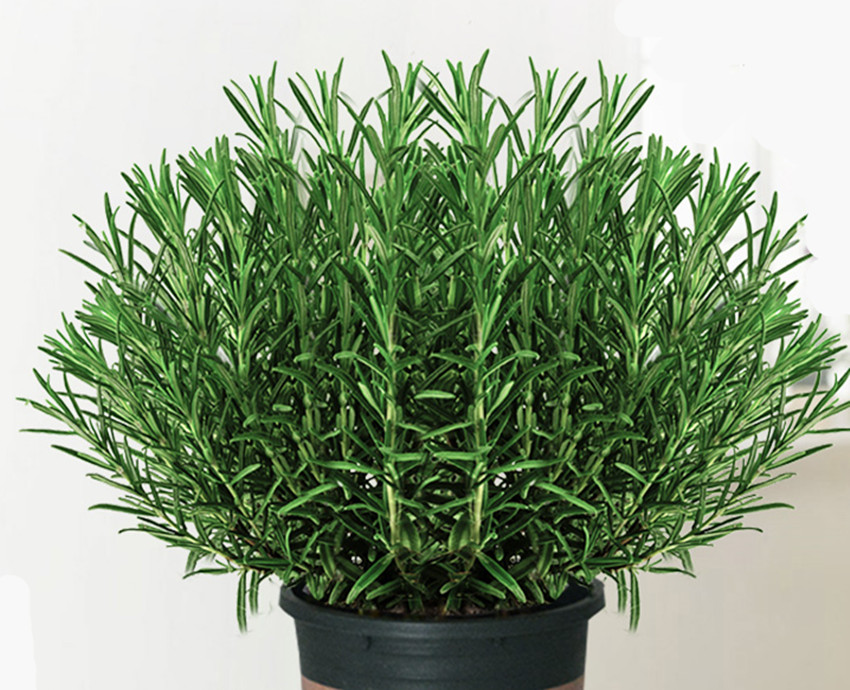 农村有三个赚钱的行业,农村最赚钱的三样东西