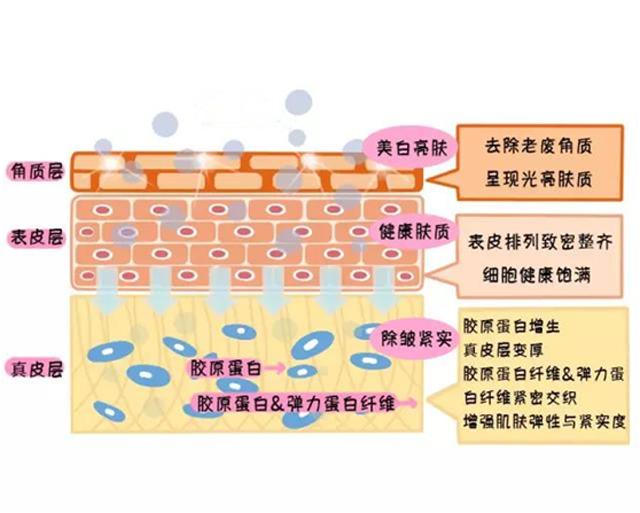 科普为什么果酸能美白皮肤,果酸换肤的正确使用方法