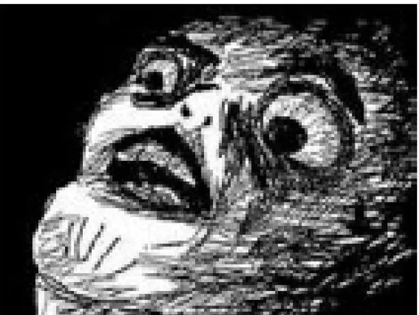 大金毛吞了一块抹布七天不吃东西,金毛吞了一个塑料球