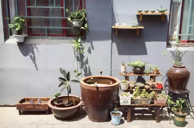 平房小户型房屋改造,40平出租房改造图片