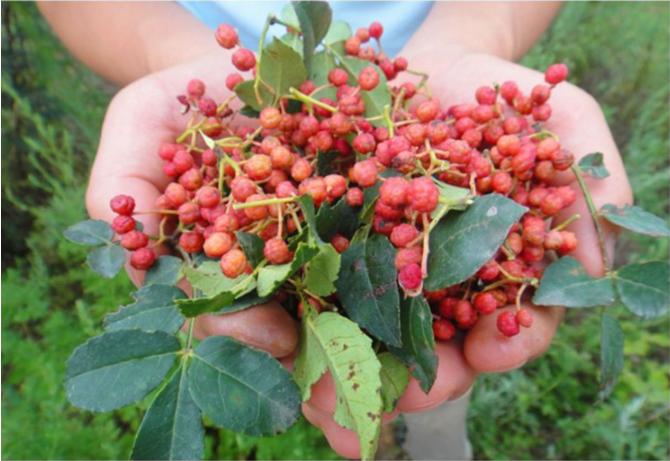 富平县老庙特产,富平县特产专卖