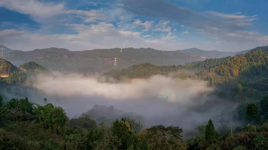 全球最大的城市森林公园,全球最绿色的城市