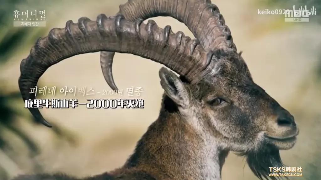 被已婚男欺骗致怀孕一尸两命,女孩儿被骗怀孕最后被杀害