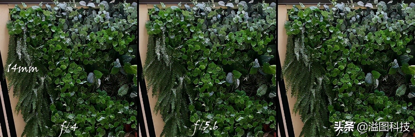 佳能rf351.4镜头评测,佳能rf14-35mmf4拍摄效果