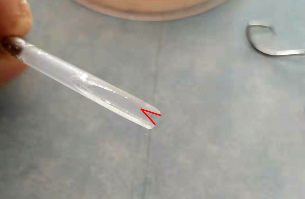 用笔芯做系钩器,怎么用圆珠笔自制绑钩神器