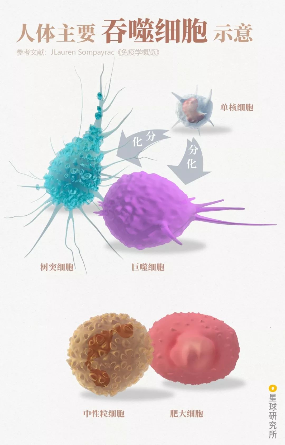 人体防卫战,人体痛点攻击技巧