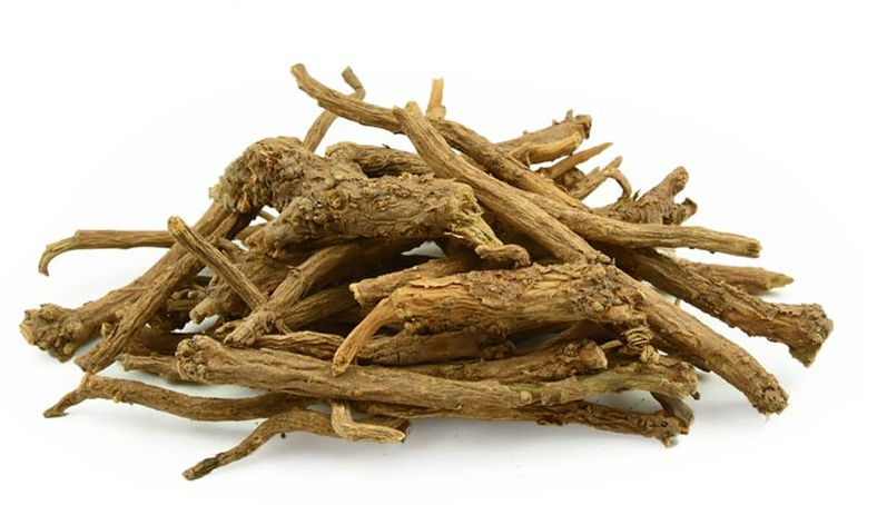 哪里有黄芩种植基地,甘肃黄芩种植基地