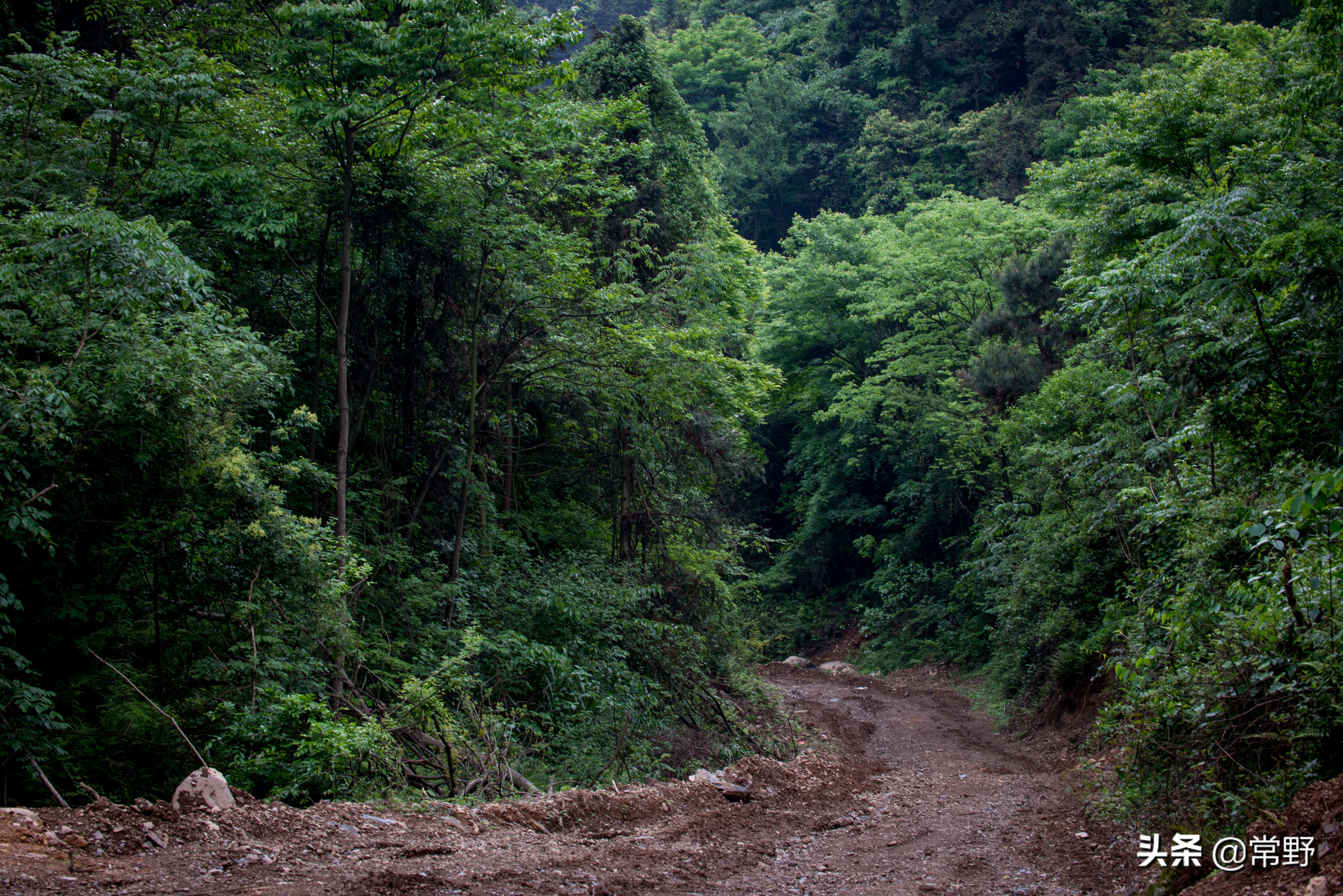 长沙谷山为什么叫谷山,长沙郊野公园