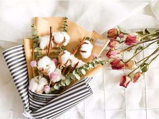 50种鲜切花花语,每个花艺师都要知道