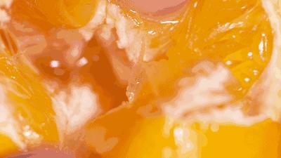 柑橘家族有哪些,柑橘家族砂糖橘