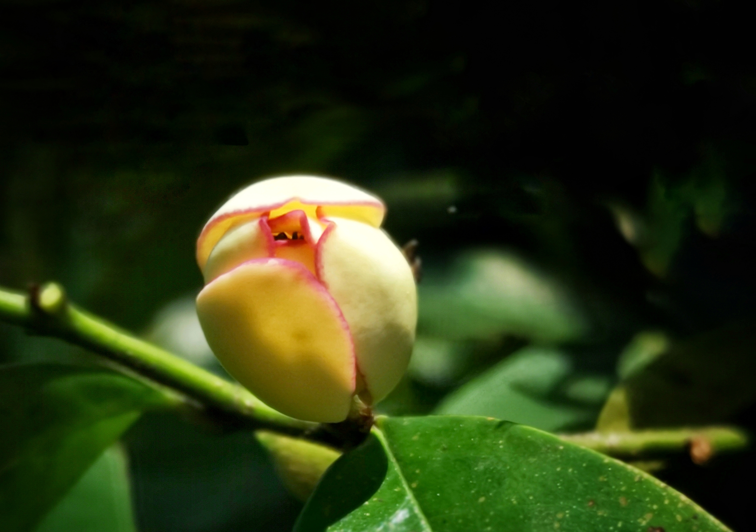 寻找身边的美丽身影,寻找身边美丽景色