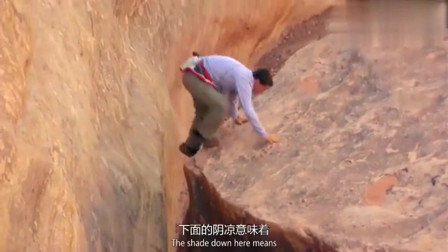 野外求生获取水,野外求生怎么获得水