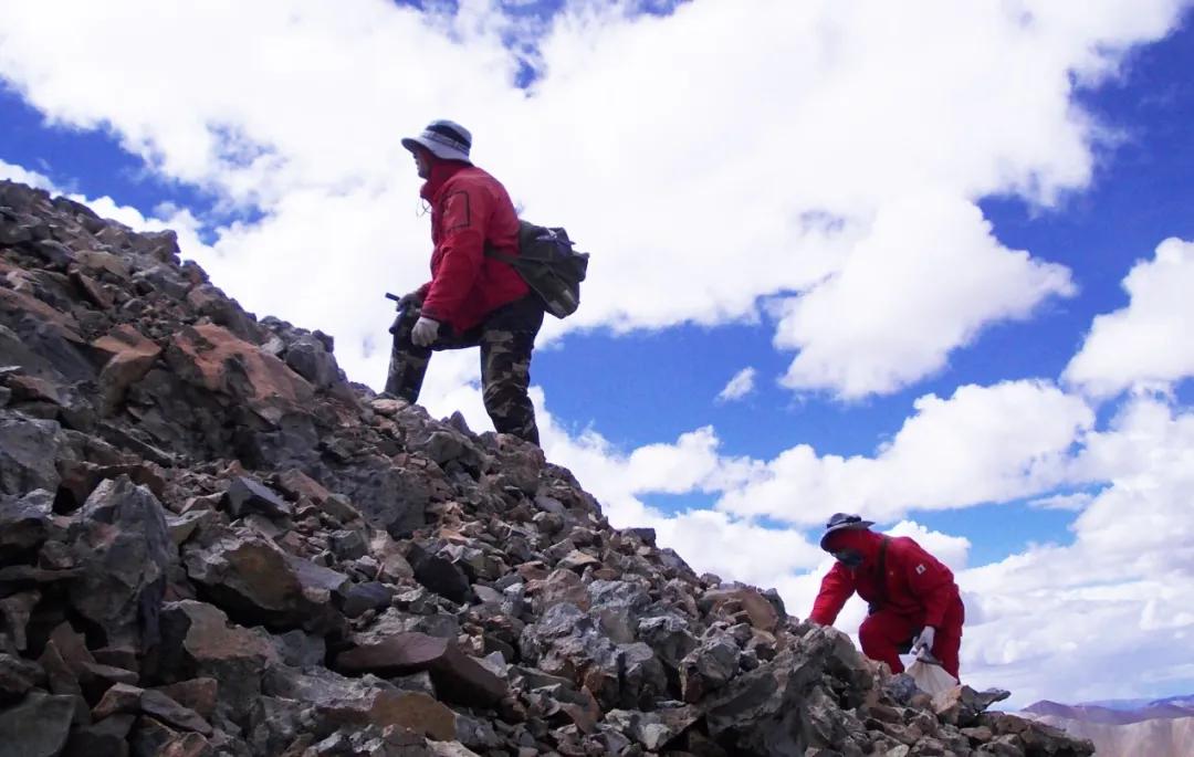 投票活动第一名是谁,投票前五名有谁