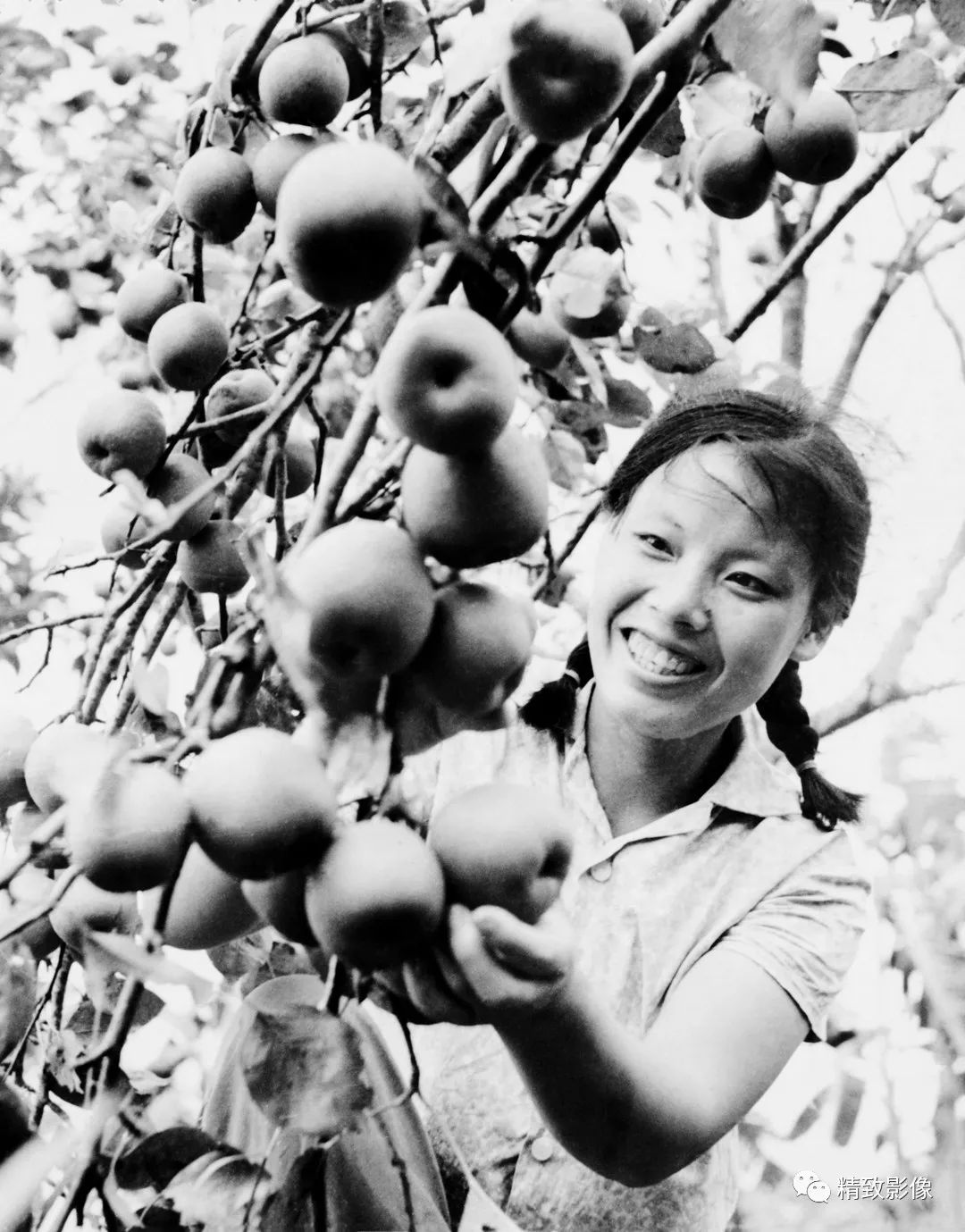 拾光汇影|第六期·珠海斗门白藤湖