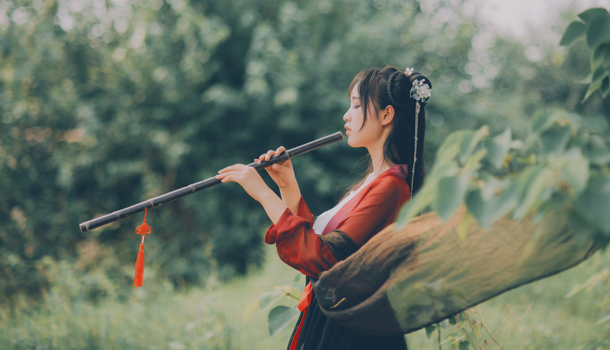 水调歌头明月几时有运用的手法,次韵水调歌头如何填词