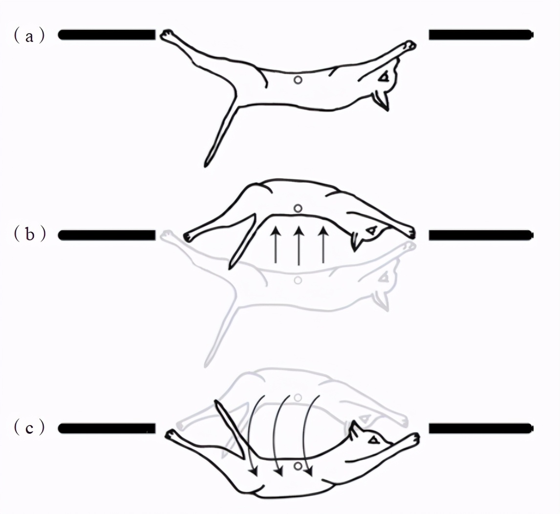 1849年物理学家麦克斯韦,物理学麦克斯韦
