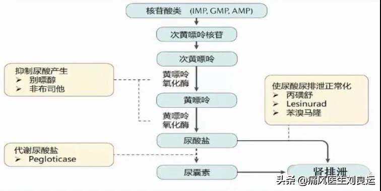 痛风能否真正根治,痛风病可以彻底治疗好吗