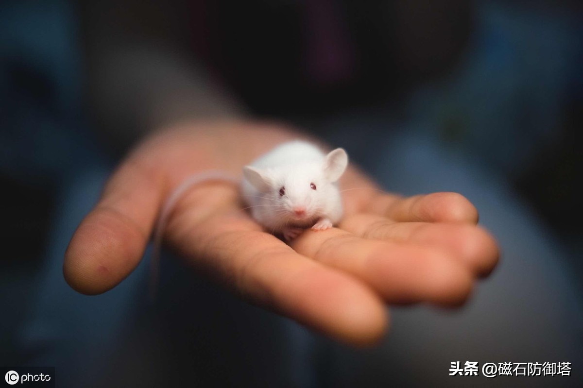 蜀道难讲解视频,蜀道难视频