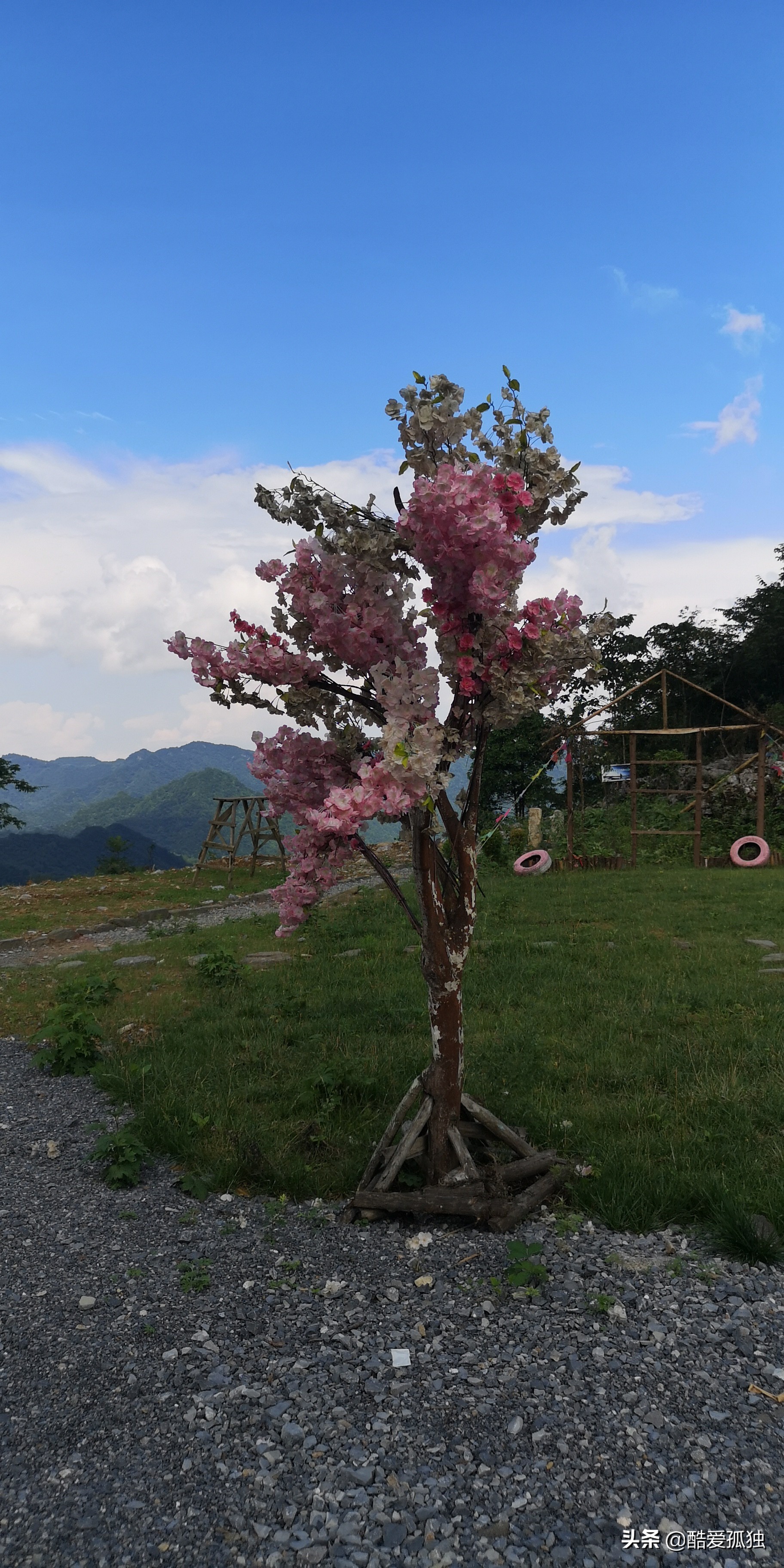 荣放双擎四驱精英plus放一夜没电,2.5荣放双擎plus和探岳四驱智联