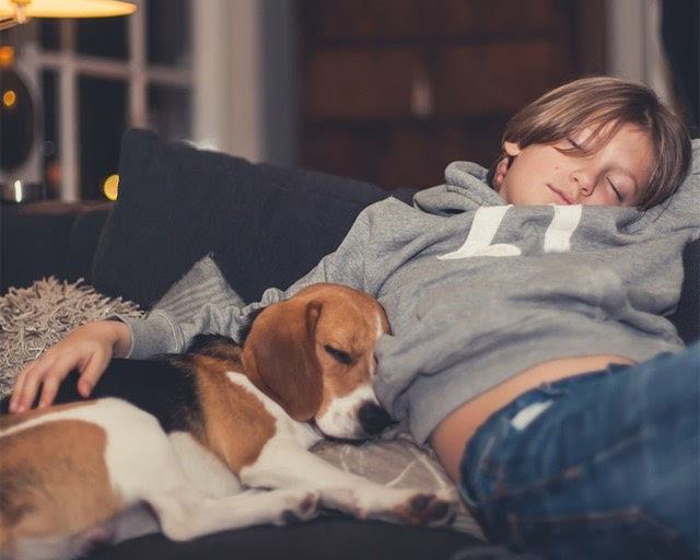 狗狗把你当成父母的征兆,狗狗把主人当妈妈的表现