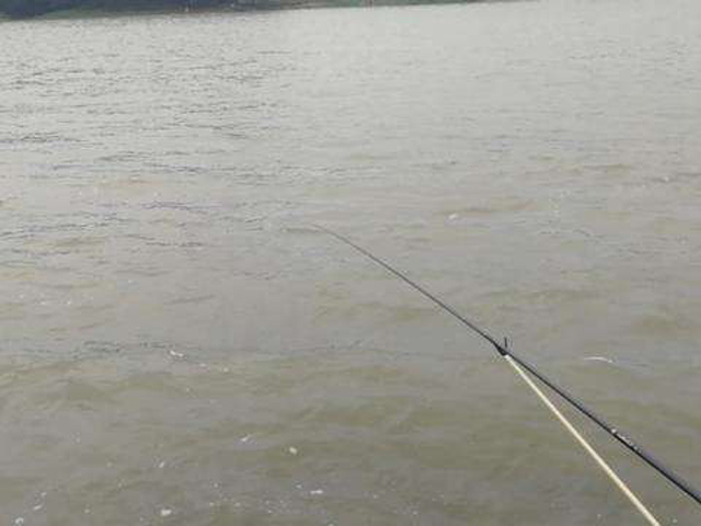 野钓走水用什么办法解决,野钓走水应对最好的办法