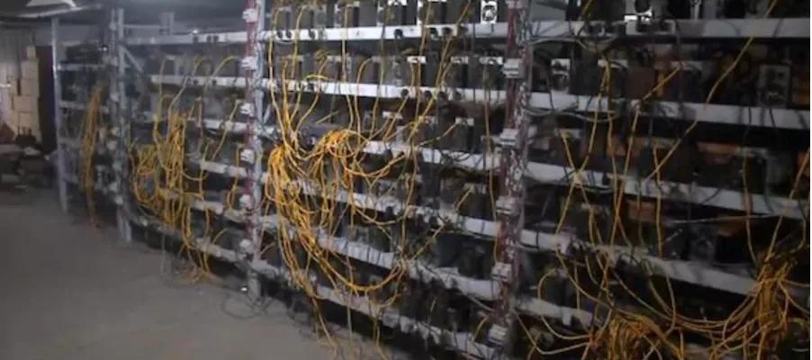 日赚1000的暴利行业,日赚三千的暴利行业