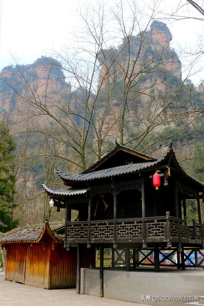 张家界森林公园亲子游攻略,张家界旅游攻略现在张家界气温