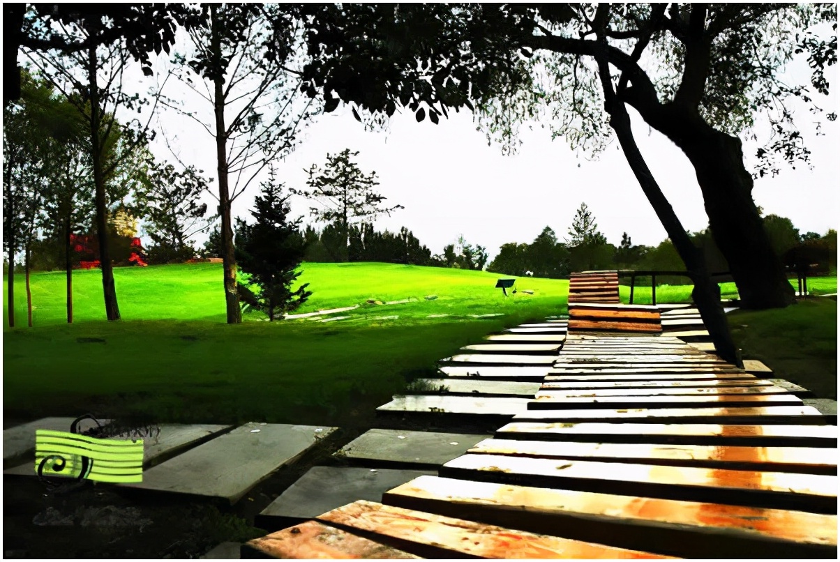 哈尔滨太阳岛火灾,哈尔滨太阳岛雪景