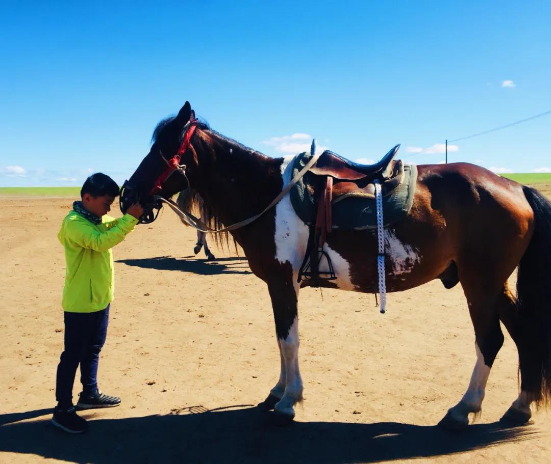 亲子成长夏令营,亲子夏令营招募江苏