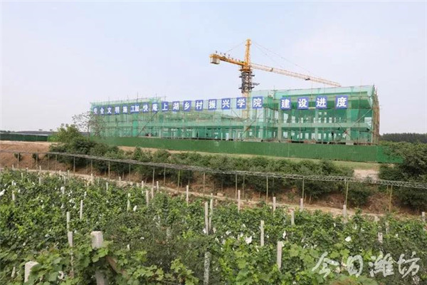 潍坊市乡村振兴方案,潍坊乡村振兴村庄项目