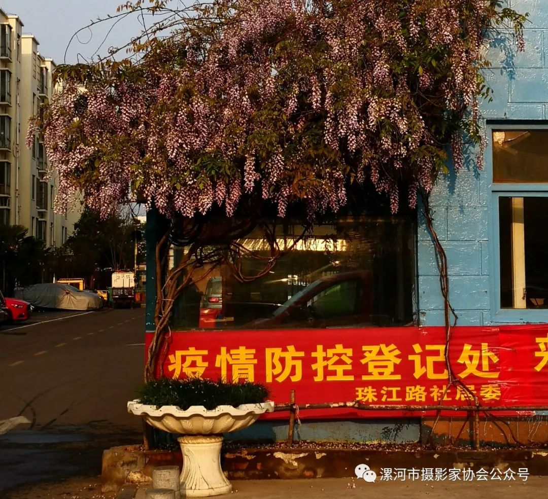 抗击新冠疫情专题展,抗击疫情专题展开展