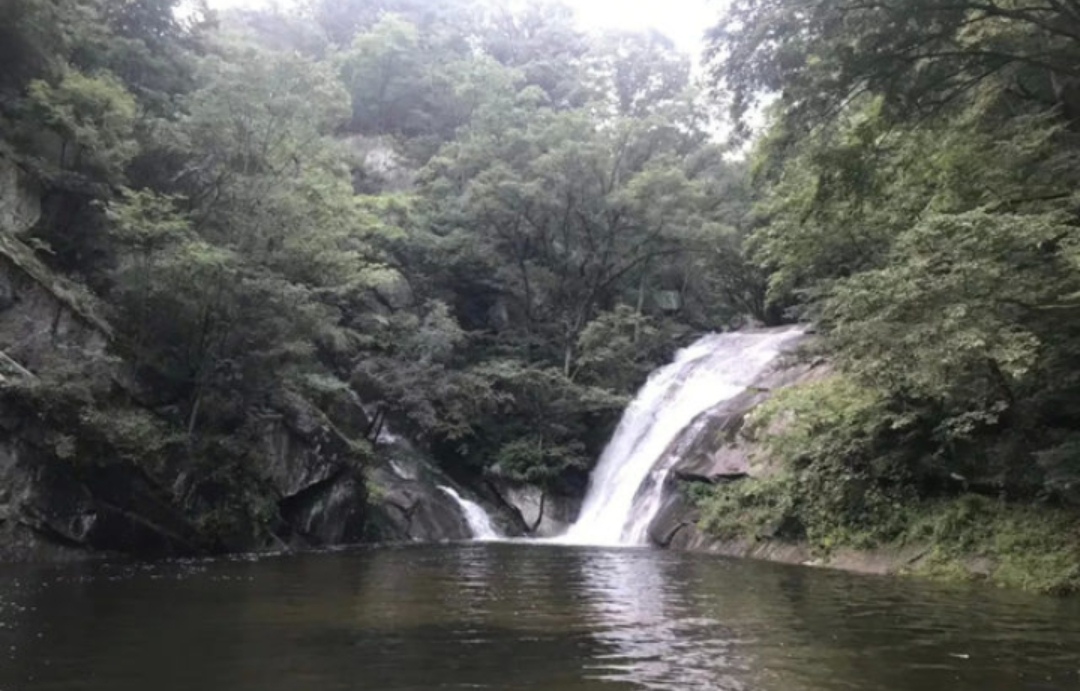 南召宝天曼地质公园,宝天曼内乡地质公园