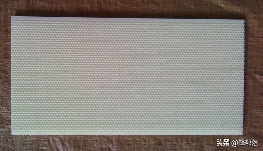 养蜂专用巢础,专业养蜂的巢础