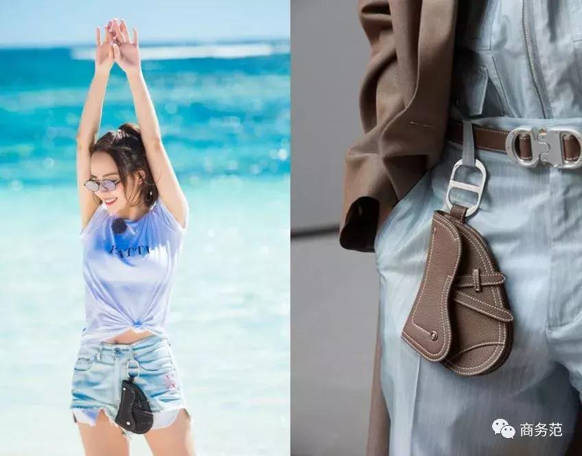 袁咏仪戴劳力士,袁咏仪卡地亚珠宝图