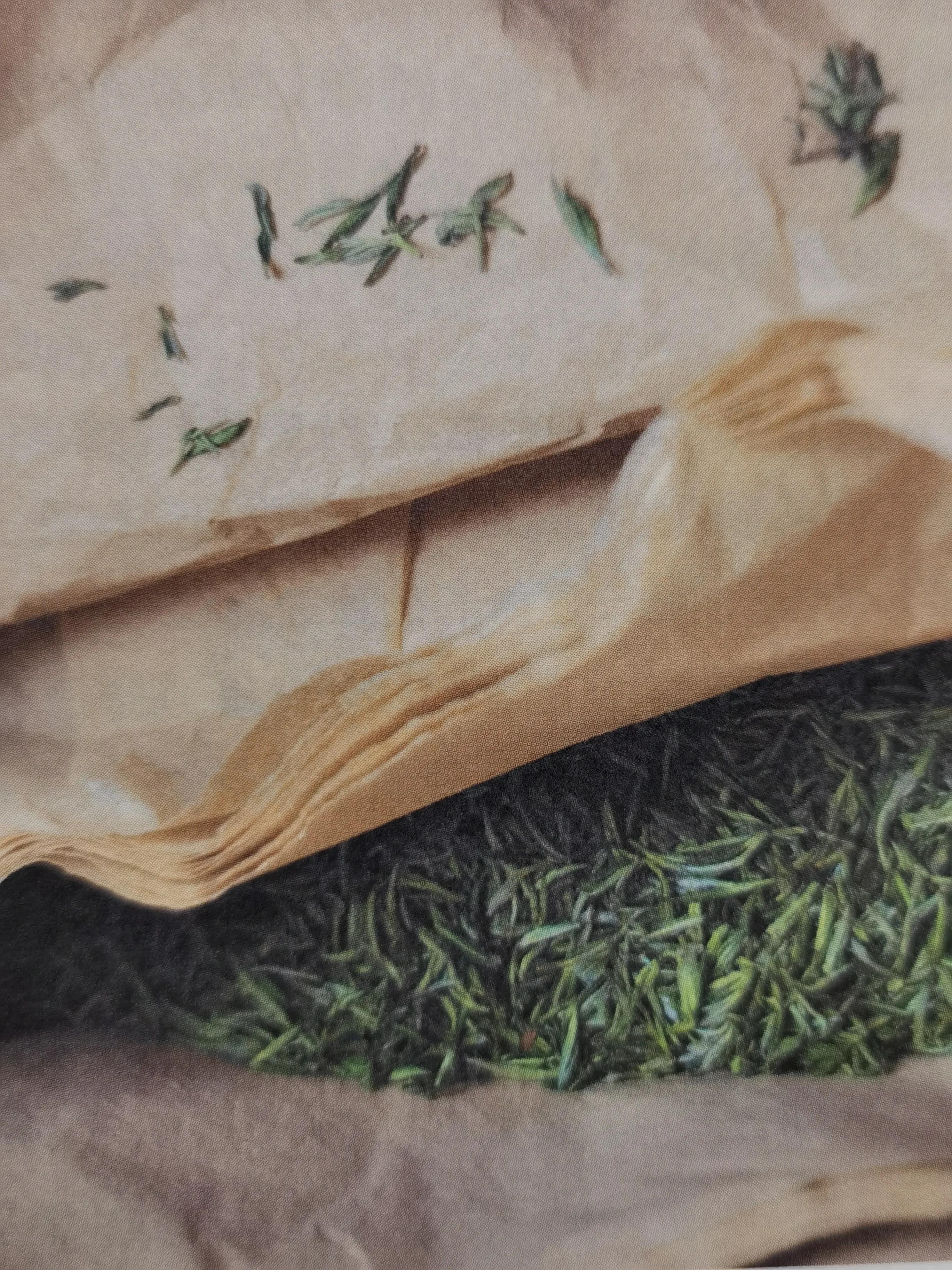 黄茶压饼：您考虑过黄茶的感受吗？