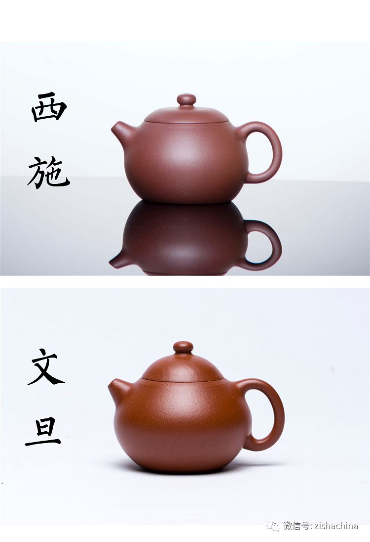 同卵双胞胎是同性还是异性,同卵双胞胎的dna一样吗