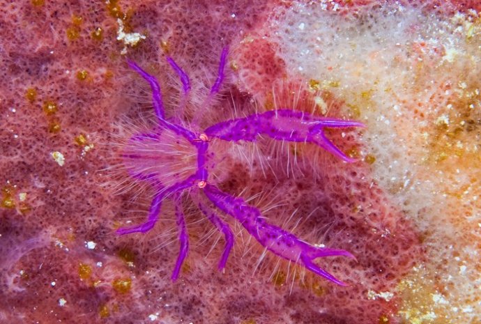 海底你不知道的东西,海底世界东海龙宫